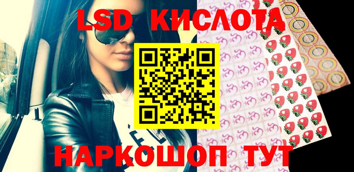 Бошки Шишки Карталы