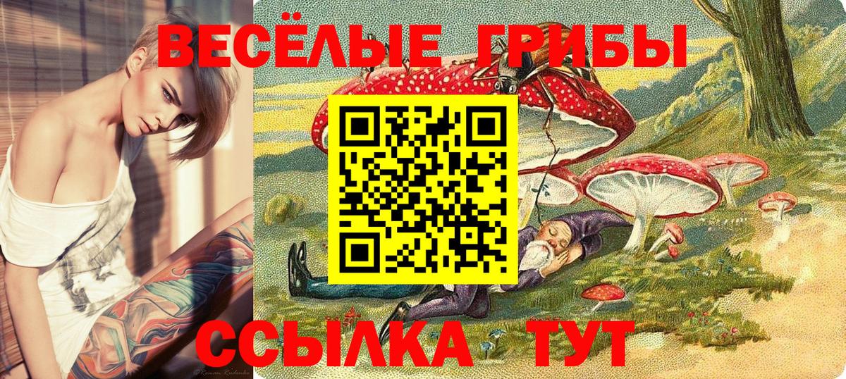 Галлюциногенные грибы мухоморы Карталы