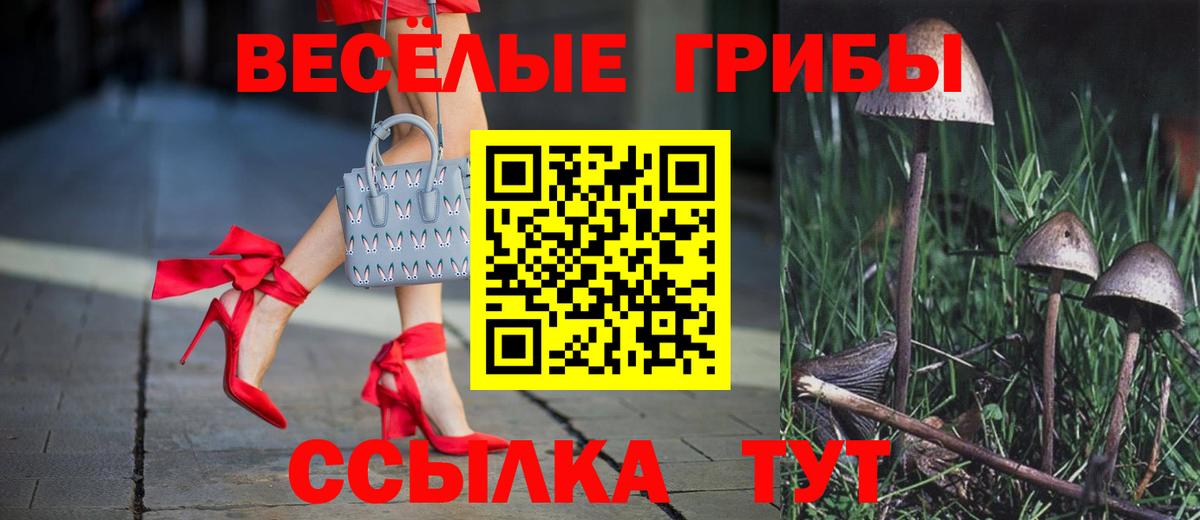 Псилоцибиновые грибы GOLDEN TEACHER  Вход с VPN  Карталы  Галлюциногенные грибы ЛСД 